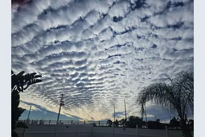 168 Argyle Gate Loop Rd, Dundee, FL 33838 - Photo 21