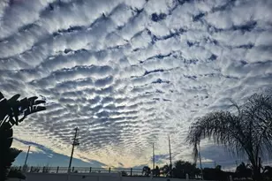 168 Argyle Gate Loop Rd, Dundee, FL 33838 - Photo 21