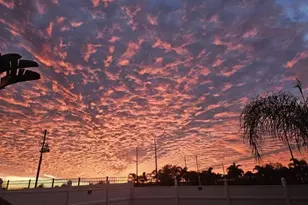 168 Argyle Gate Loop Rd, Dundee, FL 33838 - Photo 23