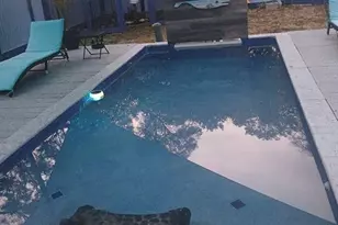 14342 SE 45th Ct, Summerfield, FL 34491 - Photo 5