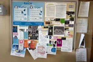 1901 Edgewood Dr E, Lakeland, FL 33803 - Photo 27