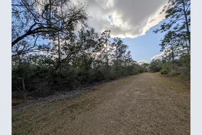 1005 Bougainville Drive, Indian Lake Estates, FL 33855 - Photo 3