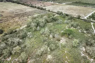 701 Jolly Ln, Lorida, FL 33857 - Photo 5