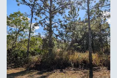 711 Azalea Drive, Indian Lake Estates, FL 33855 - Photo 3