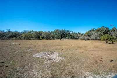 6531 Durant Road, Plant City, FL 33567 - Photo 25