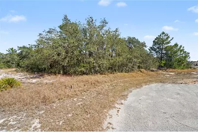 611 Amazon Court, Poinciana, FL 34759 - Photo 5