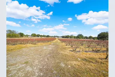 3510 Walk in Water Road, Lake Wales, FL 33898 - Photo 9