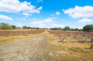 3510 Walk in Water Rd, Lake Wales, FL 33898 - Photo 9