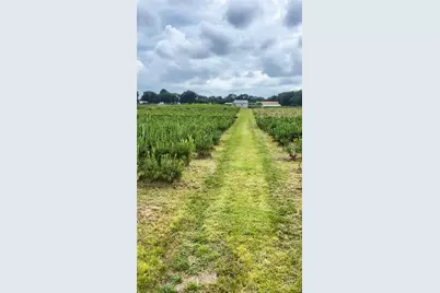 3510 Walk in Water Road, Lake Wales, FL 33898 - Photo 7