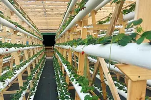 3510 Walk in Water Rd, Lake Wales, FL 33898 - Photo 5