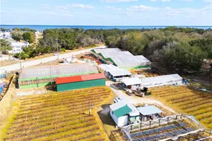 3510 Walk in Water Rd, Lake Wales, FL 33898 - Photo 13