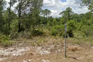 1224 Passion Flower St, Sebring, FL 33875 - Photo 1