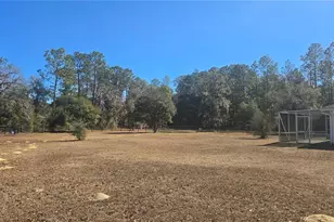 4085 SW 117th Avenue Rd, Ocala, FL 34481 - Photo 35