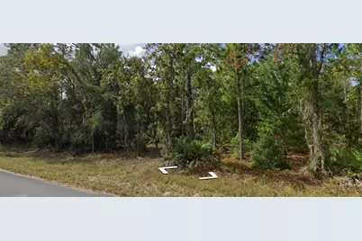 129 Christmas Drive, Florahome, FL 32140 - Photo 1