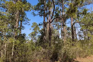 214 & 216 Allamanda Dr, Indian Lake Estates, FL 33855 - Photo 1