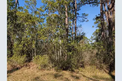 214 & 216 Allamanda Drive, Indian Lake Estates, FL 33855 - Photo 3