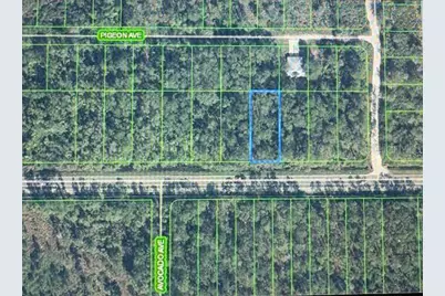 2600 Hammock Road, Sebring, FL 33872 - Photo 3
