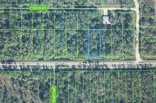 2600 Hammock Rd, Sebring, FL 33872 - Photo 3