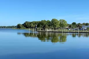 1245 N Alexander St, Mount Dora, FL 32757 - Photo 51