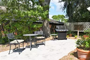 1245 N Alexander St, Mount Dora, FL 32757 - Photo 49