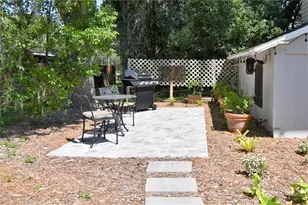 1245 N Alexander St, Mount Dora, FL 32757 - Photo 47