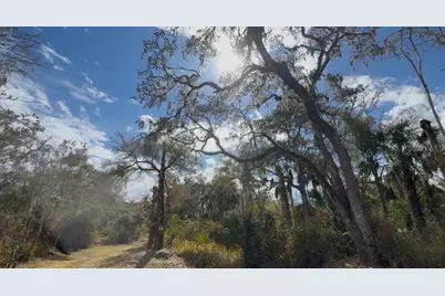 4051-3803 Dixiana Drive, Bowling Green, FL 33834 - Photo 3