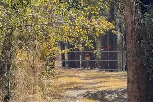 4051-3803 Dixiana Dr, Bowling Green, FL 33834 - Photo 1