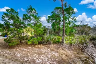 3085 W Scoralick Rd, Avon Park, FL 33825 - Photo 1