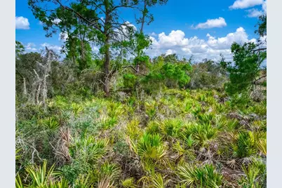 3085 W Scoralick Road, Avon Park, FL 33825 - Photo 5