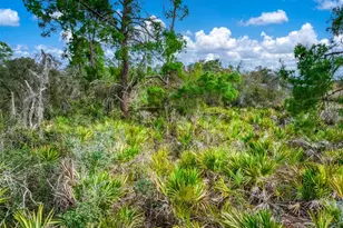 3085 W Scoralick Rd, Avon Park, FL 33825 - Photo 5