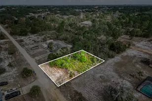 3085 W Scoralick Rd, Avon Park, FL 33825 - Photo 15