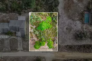 3085 W Scoralick Rd, Avon Park, FL 33825 - Photo 13