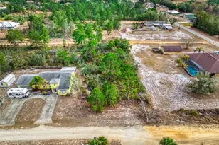 3085 W Scoralick Rd, Avon Park, FL 33825 - Photo 7