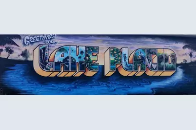 241 Phantasy Avenue, Lake Placid, FL 33852 - Photo 9