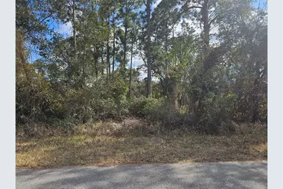 241 Phantasy Avenue, Lake Placid, FL 33852 - Photo 1