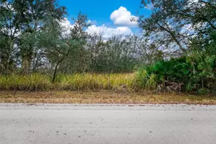 2713 W Hasbrouck Rd, Avon Park, FL 33825 - Photo 3