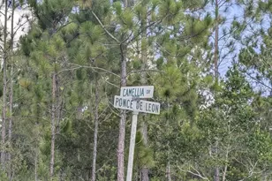 401 Camellia Dr, Indian Lake Estates, FL 33855 - Photo 1