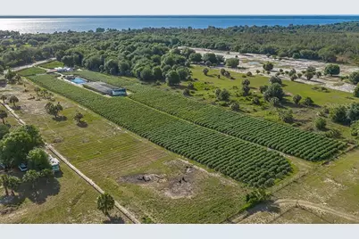 3510 Walk in Water Road, Lake Wales, FL 33898 - Photo 3