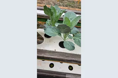 3510 Walk in Water Road, Lake Wales, FL 33898 - Photo 13