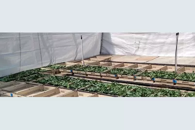 3510 Walk in Water Road, Lake Wales, FL 33898 - Photo 7