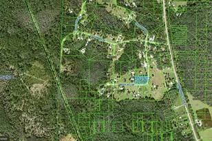 Buck Hill Dr, Polk City, FL 33868 - Photo 13