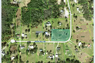 Buck Hill Drive, Polk City, FL 33868 - Photo 3