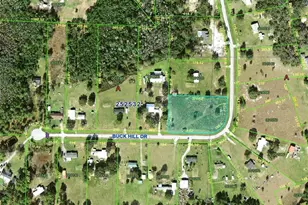 Buck Hill Dr, Polk City, FL 33868 - Photo 3