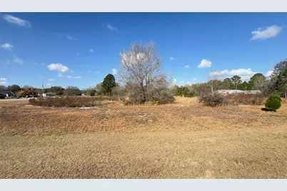 Buck Hill Drive, Polk City, FL 33868 - Photo 11