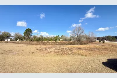 Buck Hill Drive, Polk City, FL 33868 - Photo 5