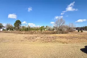 Buck Hill Dr, Polk City, FL 33868 - Photo 5