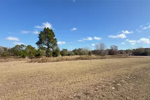 Buck Hill Dr, Polk City, FL 33868 - Photo 7