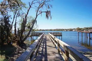 213 S Bougainvillea Ave, Polk City, FL 33868 - Photo 25