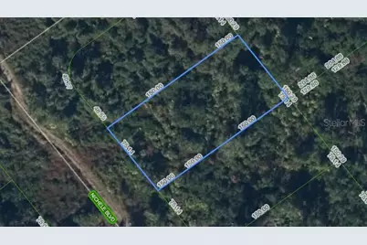 455 Nichele Boulevard, Lake Placid, FL 33852 - Photo 1