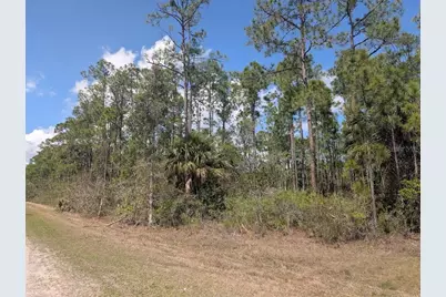 802 Althea Drive, Indian Lake Estates, FL 33855 - Photo 5